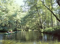 spływy kajakowe Brda
