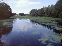 spływy kajaki