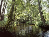 kajaki Piława