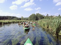 spływy kajakowe Rega